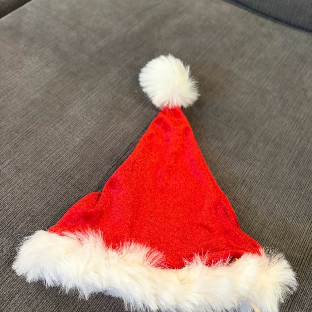 Build a Bear Santa Hat